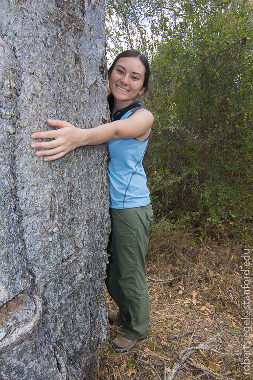 tree huggers